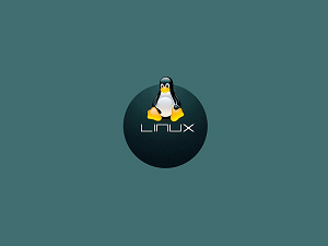 New Tools Available With Kali Linux  | KSP Technology Inc.